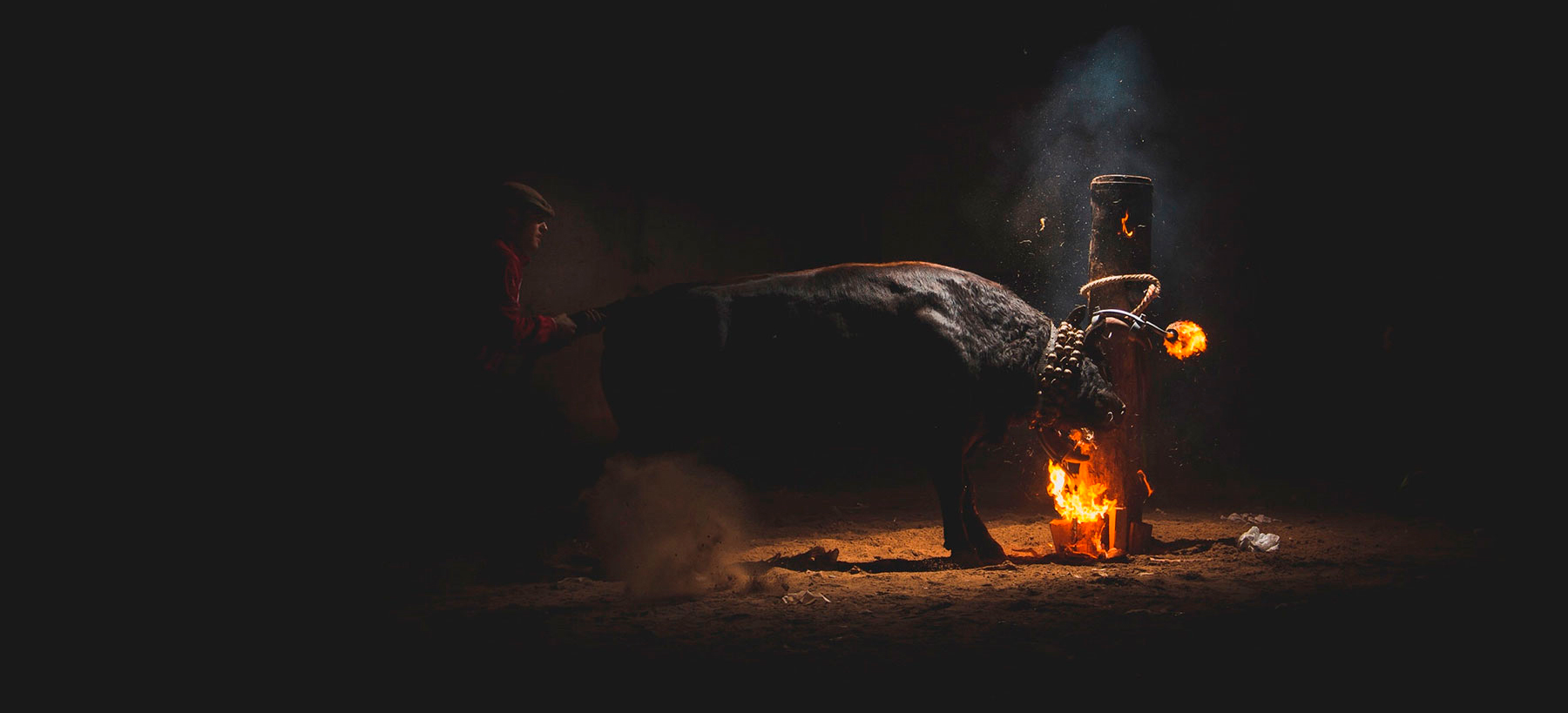 Uneix-te a la nostra campanya contra les festes cruels amb els animals!