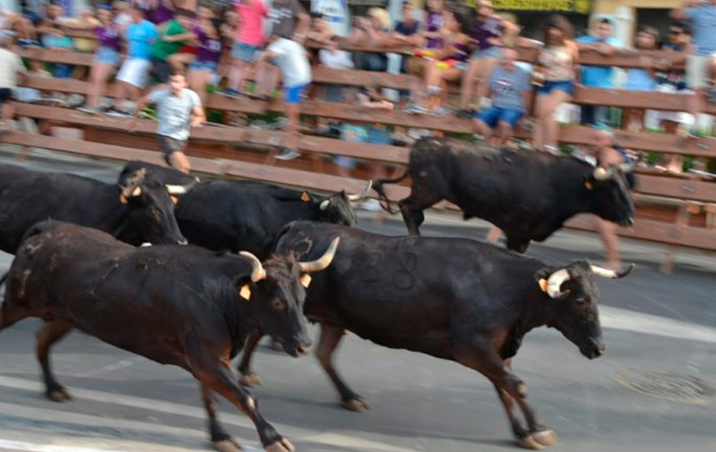 Toro a la mar a Dénia