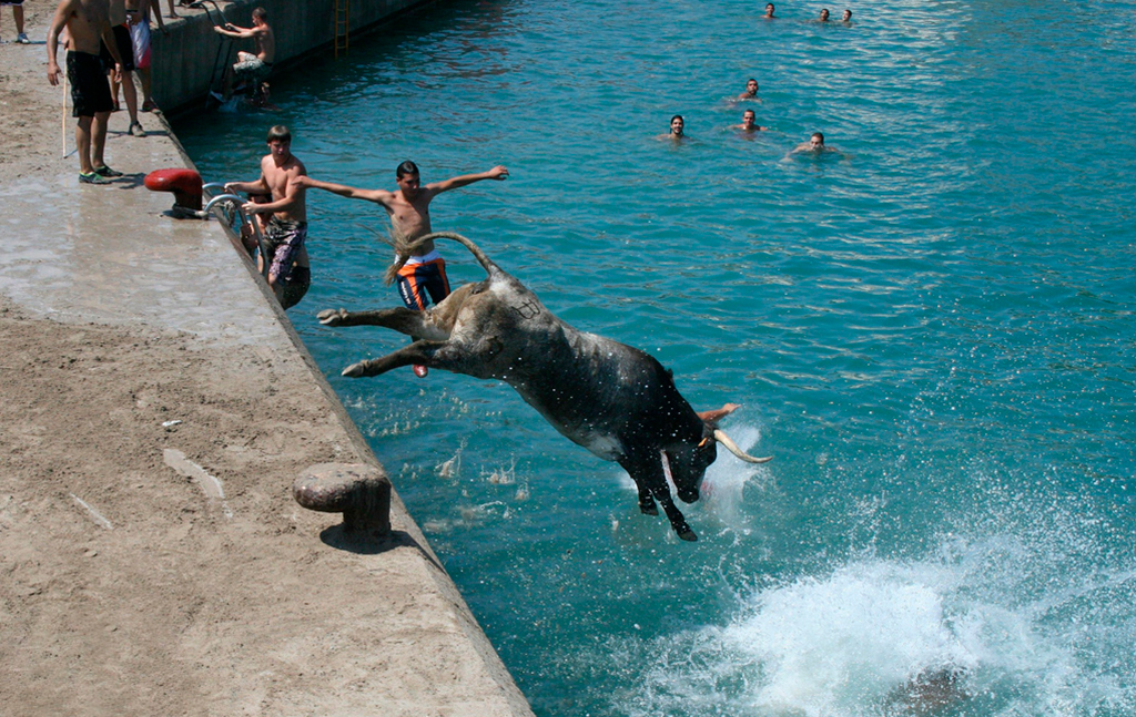 Toro a la mar a Dénia